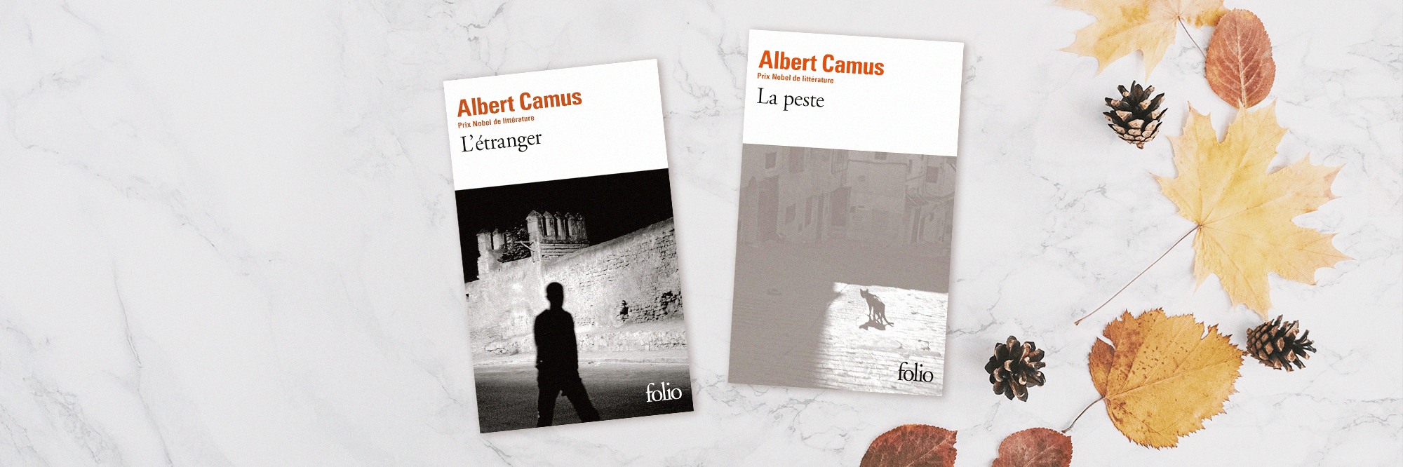 Livres Albert Camus